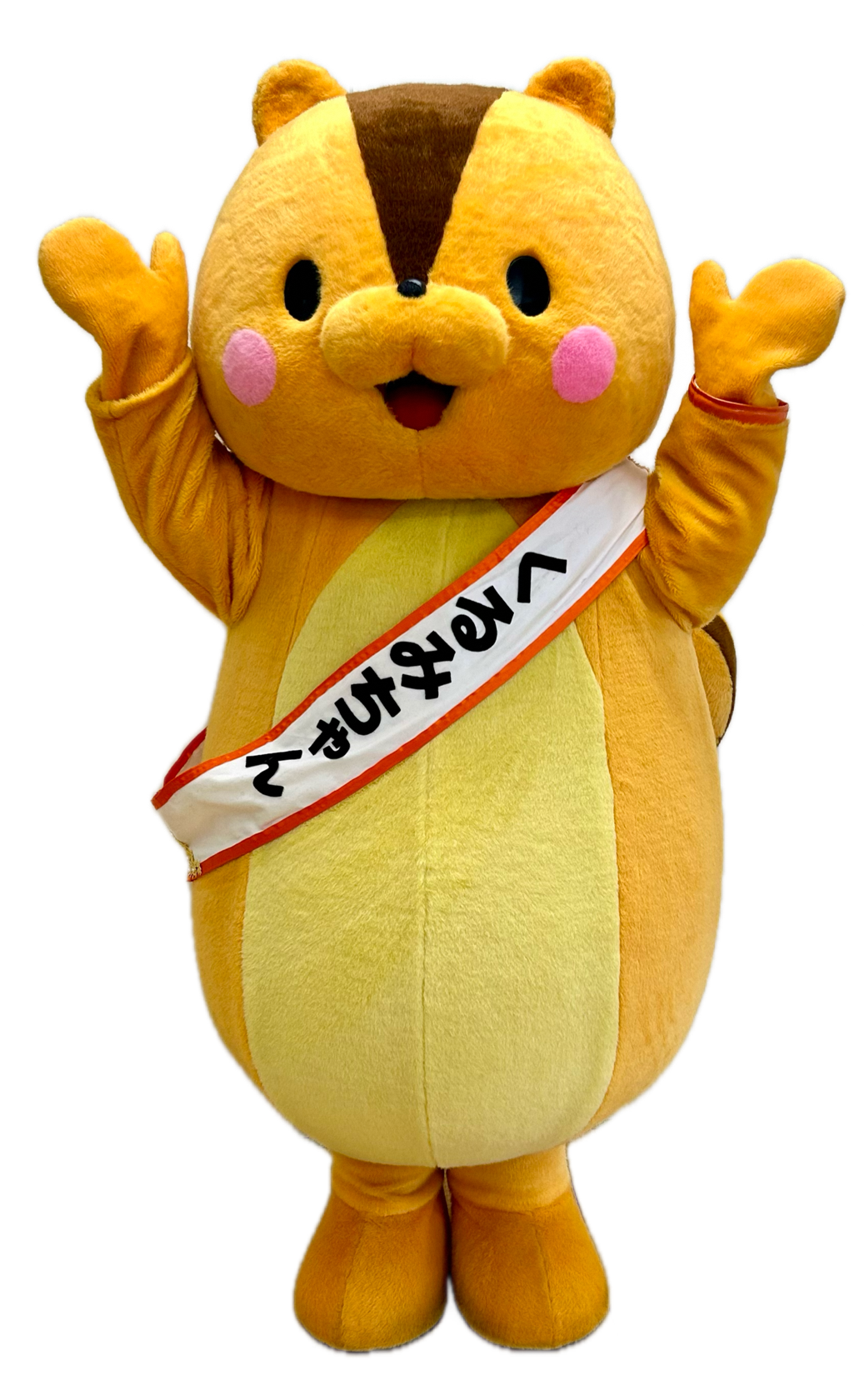 くるみちゃん画像