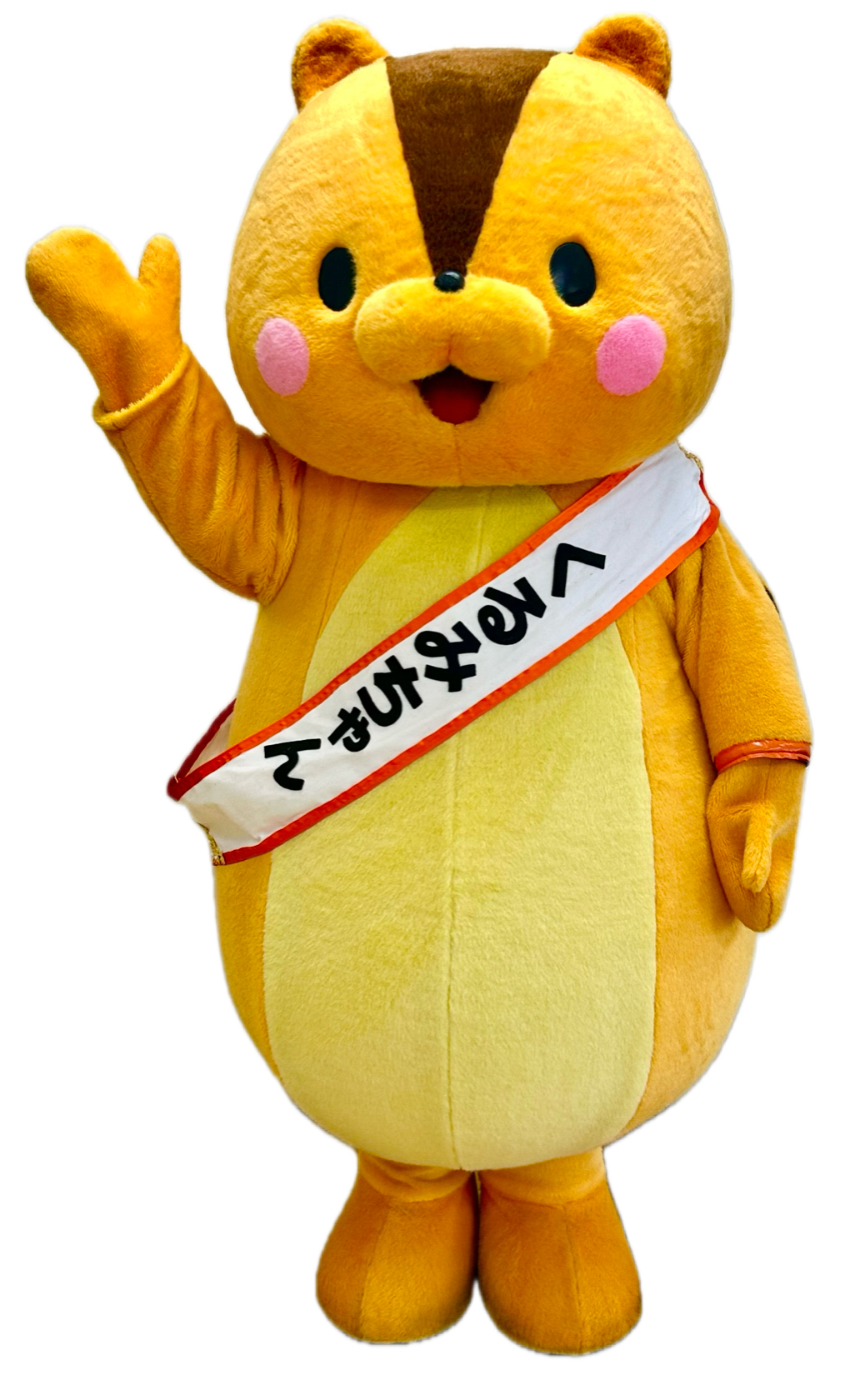 くるみちゃん画像