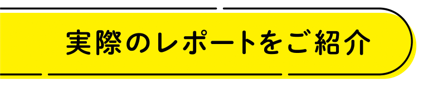 実際のレポートの紹介