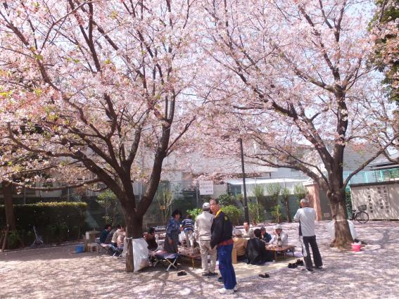 大井二丁目防災活動広場さくらまつり