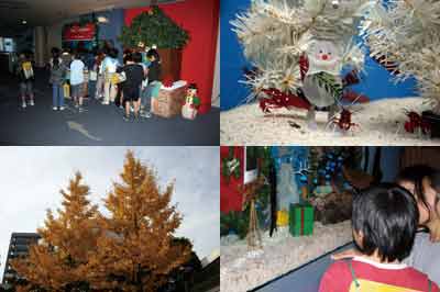 しながわ水族館　クリスマス装飾水槽