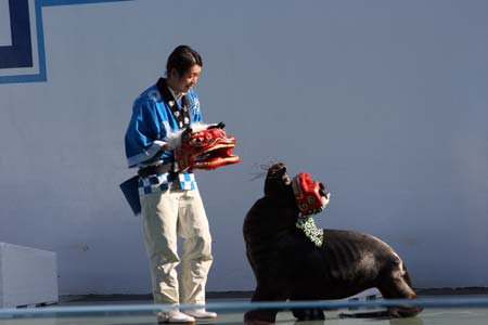 大人気の獅子舞アシカショー＆水族館七福神巡り