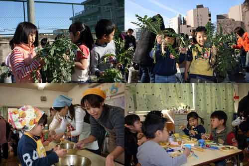 城南幼稚園で大根掘りとおでんパーティー