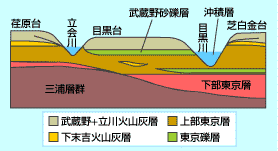 品川区の地質層序を示す模式断面図