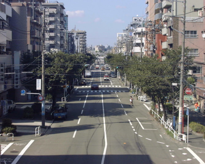 桜新道の写真です。
