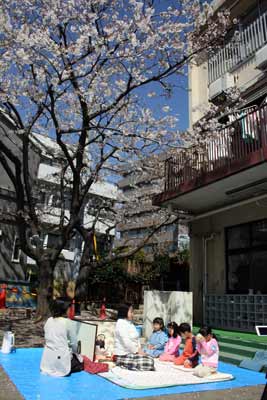 大井保育園で野点(お茶会)