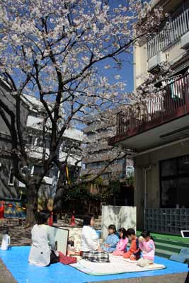 大井保育園で野点（お茶会）