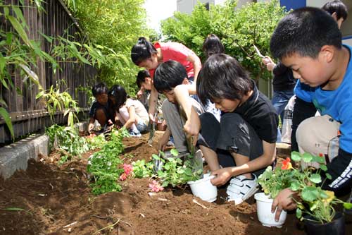 蝶の道プロジェクト(八潮小)