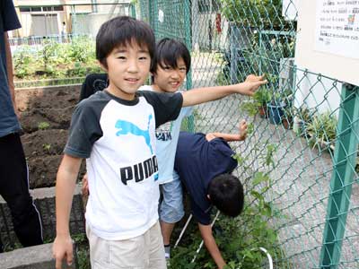 蝶の道プロジェクト(鮫浜小)
