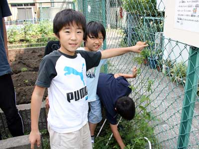 蝶の道プロジェクト（鮫浜小）