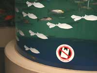 しながわ水族館 STOPレジ袋キャンペーン(イワシ水槽)