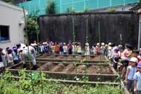 芳水小 幼稚園、保育園児と種まき