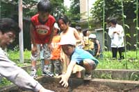 芳水小 幼稚園、保育園児と種まき