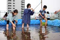 08清水台小田植え111