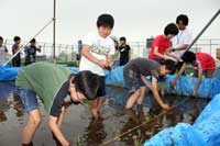 08清水台小田植え222