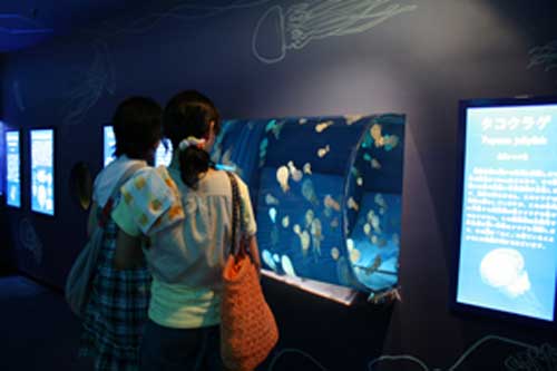 水族館1