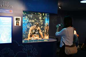 水族館3