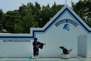 水族館6