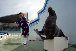 水族館7