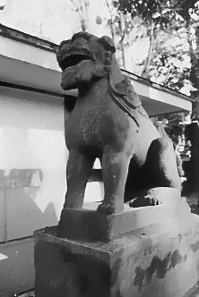 戸越八幡神社石造狛犬(戸越八幡神社)
