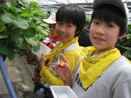 ヤクルト工場見学 むさしの村・いちご狩り