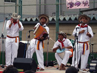 南米コロンビアの伝統音楽バジェナト