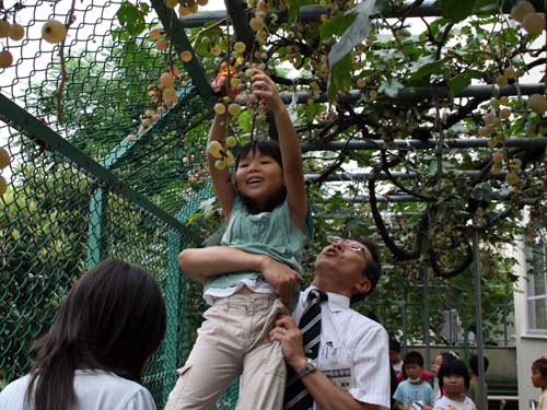 上神明小学校　ぶどう狩り