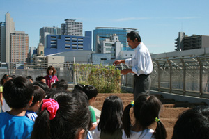 daiba3