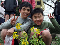 鮫浜小　菜の花マラソン