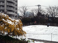 朝の雪景色