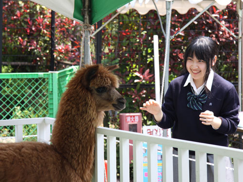 フワフワ動物園1