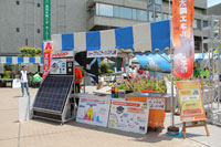 太陽エネルギー見本市