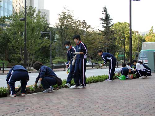 花を植える大崎中バレーボール部員