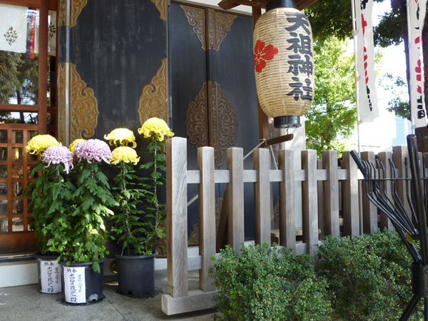 下神明天祖神社の菊