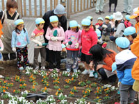 植えつけをする子ども達