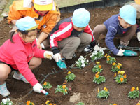 植えつけをする子ども達