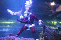 水中パフォーマンスショー クリスマスバージョン