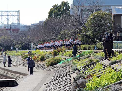 鮫浜小 菜の花マラソン0