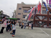 三木小学校 120匹の鯉のぼり上げ