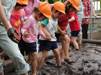 区役所屋上庭園で幼稚園児が田植え3