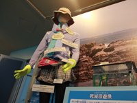 しながわ水族館 夏の特別展示「エンジョイ!磯ッチング」