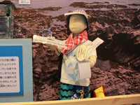 しながわ水族館 夏の特別展示「エンジョイ!磯ッチング」