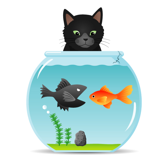 fishbowl01
