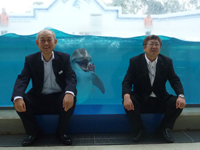 山本市長がしながわ水族館を視察3