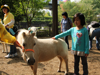 ふれあい動物園