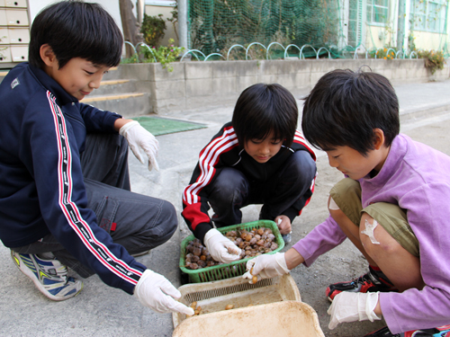 杜松小学校ぎんなん活動にフィランソロピー賞奨励賞