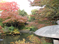 池田山公園　紅葉