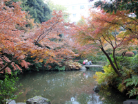 池田山公園　紅葉