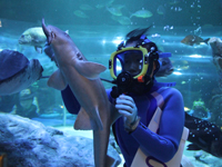 しながわ水族館のお正月イベント7