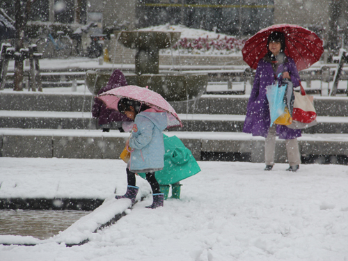 しながわ中央公園の雪景色